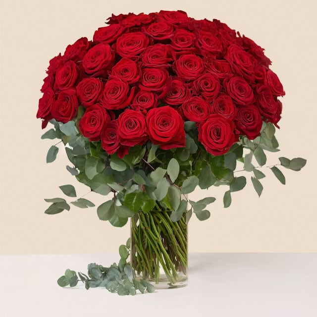 Red Naomi Premium