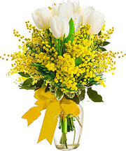White tulips with mimosa