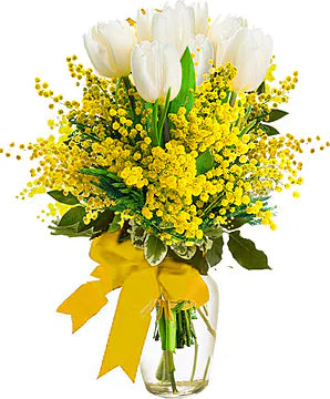 White tulips with mimosa