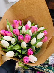 White and pink mixed tulips