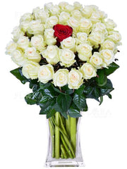 White loves