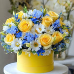 SEA BREEZE HATBOX